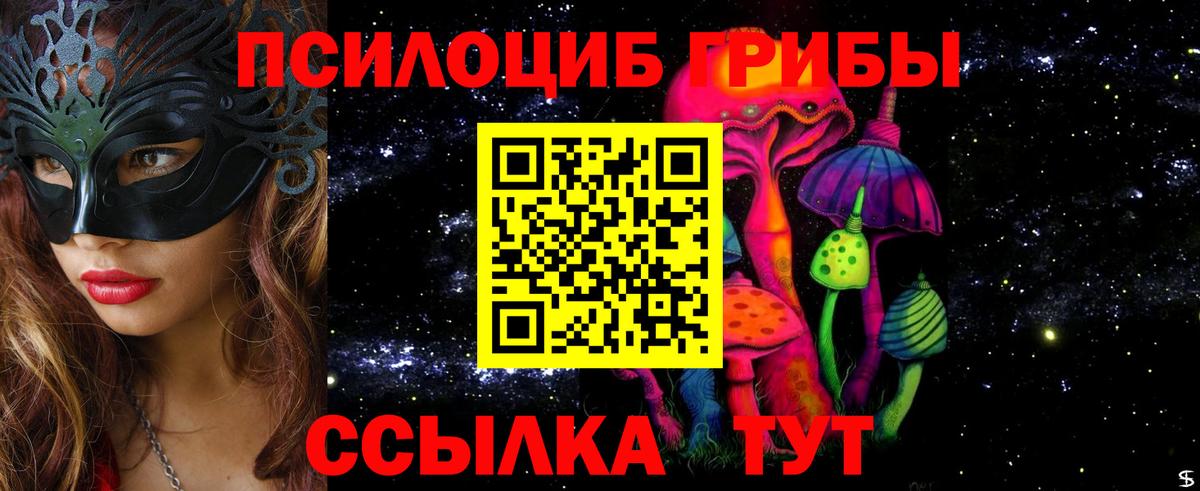 Сунжа  Псилоцибиновые грибы Psilocybine cubensis  Вход с VPN  Галлюциногенные грибы GOLDEN TEACHER 