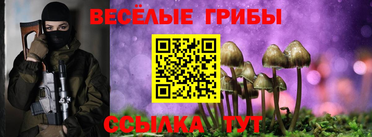 Псилоцибиновые грибы прущие грибы Сунжа