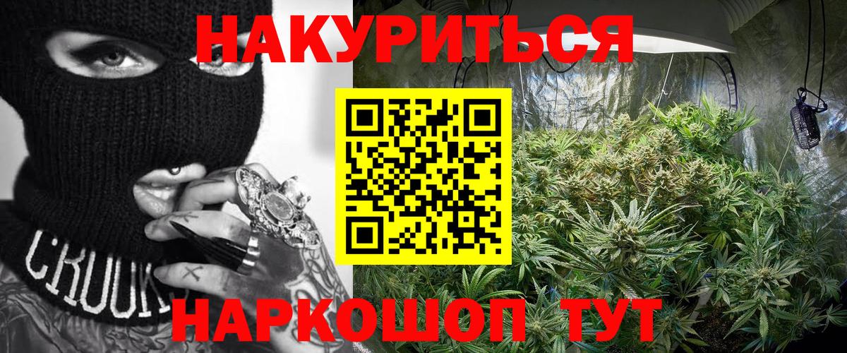 Шишки марихуана планчик  Вход с VPN  Шишки марихуана White Widow  Сунжа  Каннабис конопля 